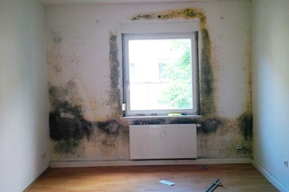 Mehr Wohnungen, als Sie vielleicht denken, sind mit Schimmelpilz befallen. Mehr Wohnungen, als Sie vielleicht denken, sind mit Schimmelpilz befallen.