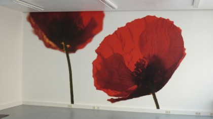 Fototapete Mohn Fototapete Mohn